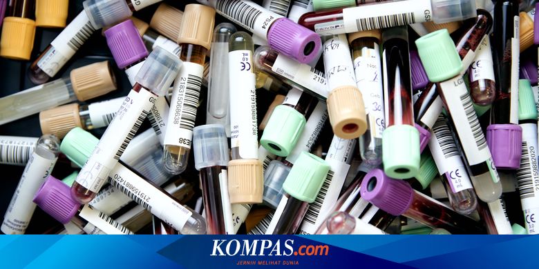 Fungsi Plasma Darah Bagi Tubuh Halaman All Kompas Com