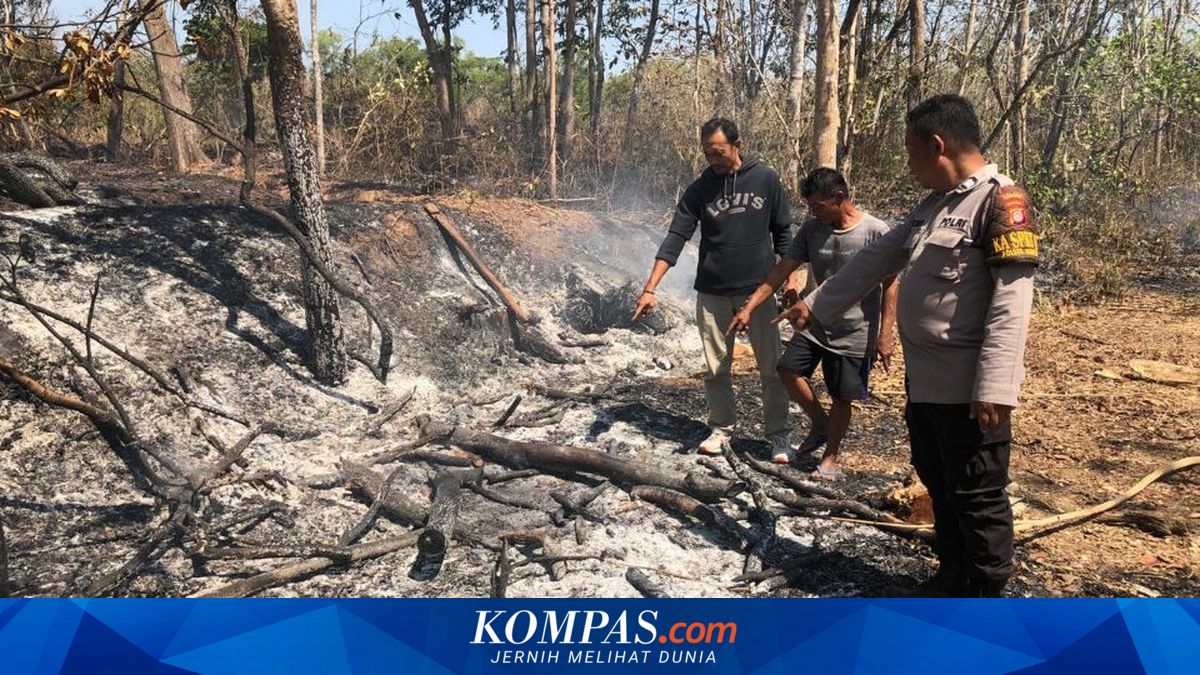 Bakar Sampah di Ladang, Lansia di Gunungkidul Ditemukan Tewas