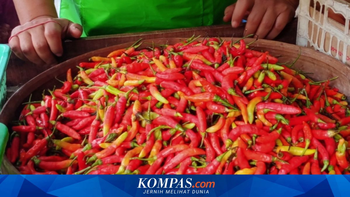 Jelang Ramadhan, Harga Cabai dan Telur Meroket di Probolinggo ~TR

Klik untuk baca: