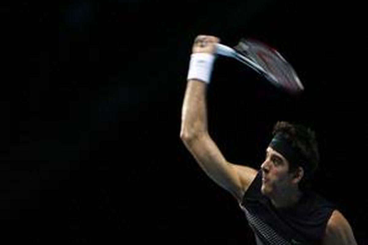 Juan Martin del Potro