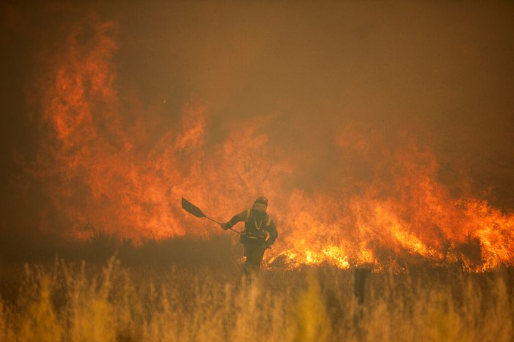 Seorang petugas pemadam kebakaran bekerja di depan api selama kebakaran hutan di Sierra de la Culebra di Zamora Provence pada Sabtu 18 Juni 2022.