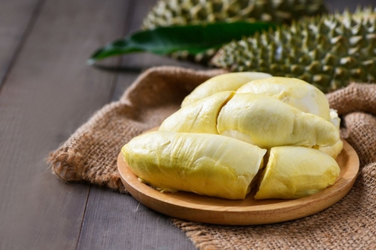 Ilustrasi durian. 