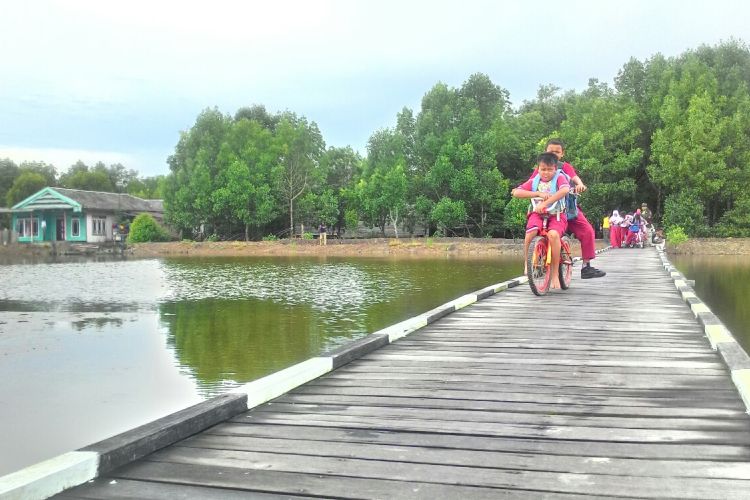 Jembatan membelah tambak-tambak sepanjang 7 km ini menghubungkan 3 dusun di Tani Baru. Siswa pergi dan pulang sekolah adalah warga yang paling sering memanfaatkan jembatan ini.