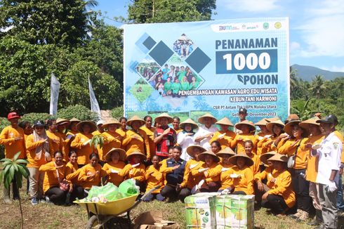 Kembangkan Agrowisata di Halmahera Timur, Antam Tanam 1.000 Pohon Buah di Desa Geltoli