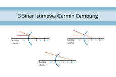 3 Sinar Istimewa Cermin Cembung