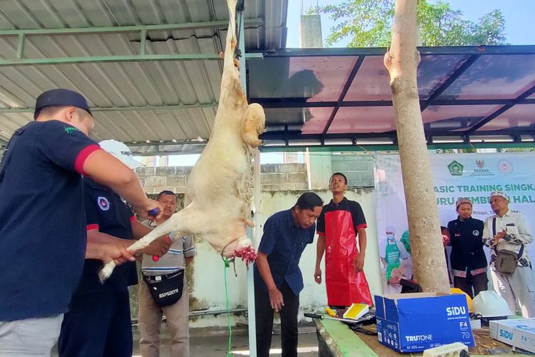 Dokter Ingatkan Risiko Infeksi Kulit Saat Menyembelih Hewan Kurban, Ini Cara Mencegahnya