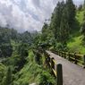 Wisata Alam Taman Nasional Gunung Merapi Buka Lagi mulai 17 April