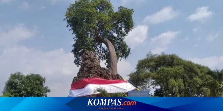 Rapuh dan Dibalut Kain Merah, Ini Sejarah Candi Lor Peninggalan Mpu Sindok di Tahun 937 Masehi - Vimarsana News