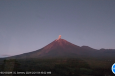 Semeru Erupsi 2 Kali Selasa Pagi, Semburkan Abu Setinggi 900 Meter