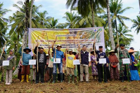 Pacu Produksi Padi Banten, Ditjenbun Kementan Tanam Padi Gogo di Lebak dan Serang