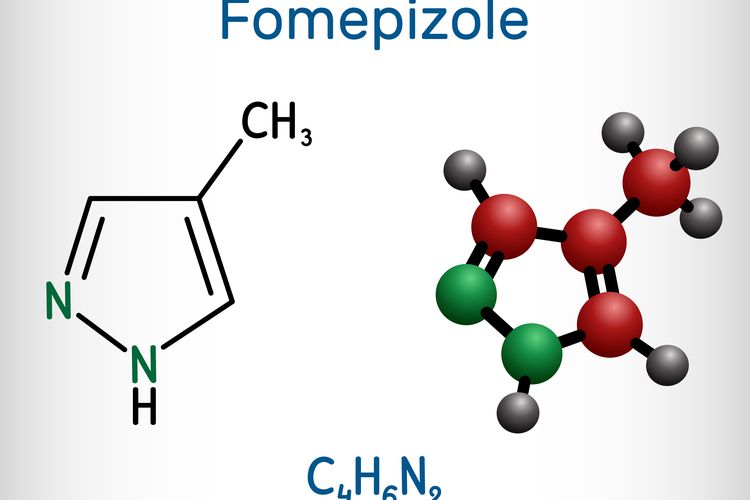 Ilustrasi fomepizole, fomepizole obat apa, fomepizole adalah, fomepizole obat gagal ginjal akut. 