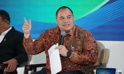 Investor Global Berebut Proyek PSEL, PLN Siapkan Kontrak Listrik hingga 30 Tahun