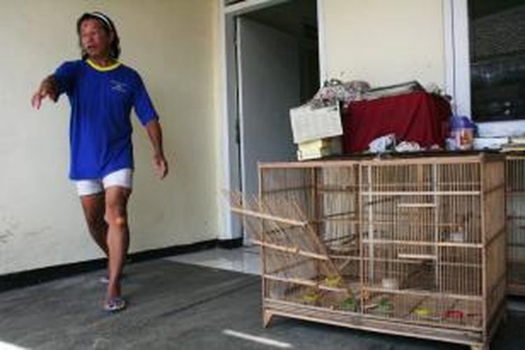 Perampok Gondol 25 Burung Kenari Seharga Rp 50 Juta Halaman All Kompas Com