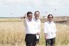 Pupuk Indonesia Kembangkan Sektor Pertanian di Wilayah Indonesia Timur