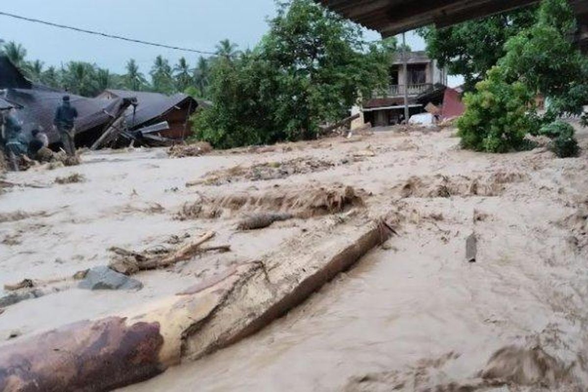 Terjangan banjir bandang melanda Kabupaten Tapanuli Selatan. Air bah dengan batang-batang kayu hutan menyapu empat desa, tepatnya di Kota Tua, Harean, Sisoma dan Simaninggir, Kecamatan Tano Tombangan Amgkola, sejak Rabu hingga Kamis (19/12/2024). 