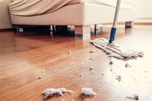  5 Cara Mencegah dan Membersihkan Debu dari Rumah
