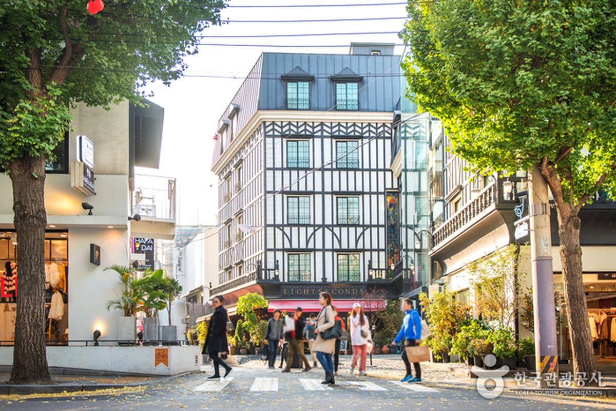 Ilustrasi Korea Selatan - Garosu-Gil Street di Gangnam yang kerap dijuluki sebagai jalan seniman, Korea Selatan.