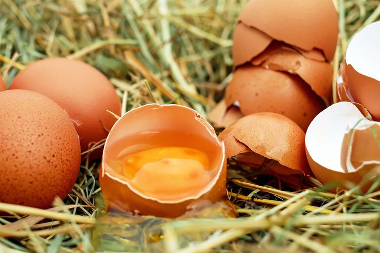 Ilustrasi telur mentah. Konsumsi telur mentah berpotensi memicu infeksi bakteri.