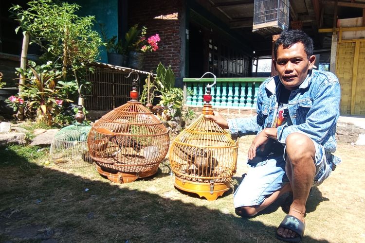 Dari Menolong Ayam Hutan yang Terluka, Hadi Sukses Kembangkan 