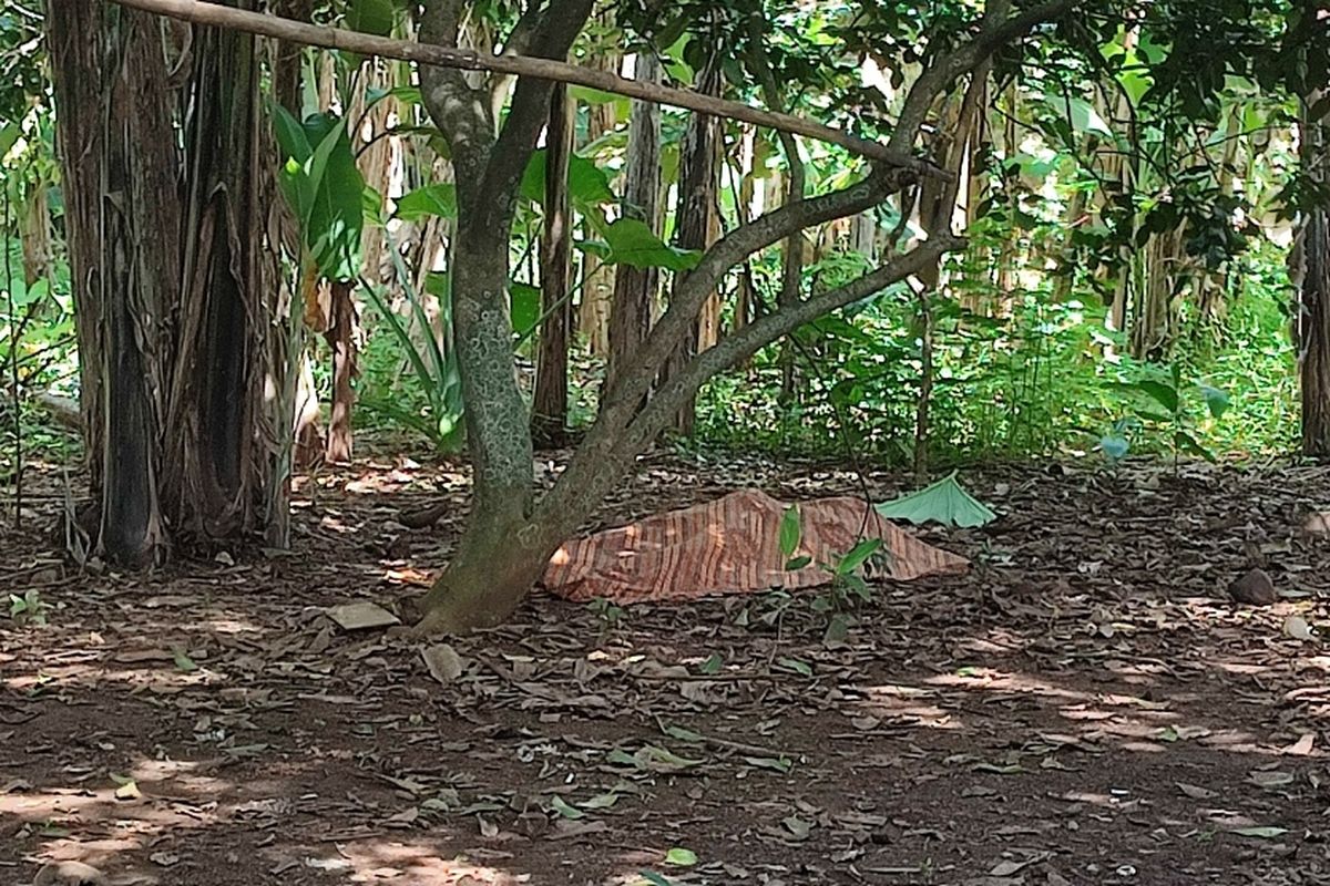 Seorang pria ditemukan tewas gantung diri di kebon kosong kawasan Cipedak, Jagakarsa, Jakarta Selatan, Selasa (22/11/2022). 