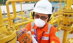 Dongrak Kinerja Perekonomian, PGN Dukung Pengembangan Kawasan Industri