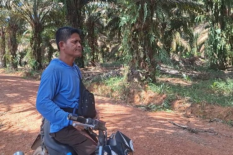 Sungai Kering, Gubuk Berganti Debu: Kisah Warga Dayak Bertahan di Tengah Kepungan Sawit