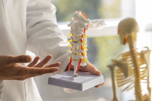 Osteoporosis Sering Tanpa Gejala, Ketahui Cara Pencegahannya