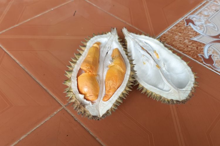 Durian mirip buah lai Buah Lai: