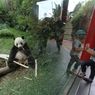 Libur Panjang, Wisatawan di Bogor Selektif Pilih Tempat Wisata