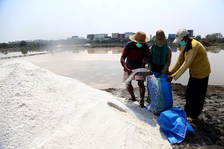 Petani tambak garam di di pesisir pantai Kampung Greges, Kelurahan Tambak Sarioso, Kecamatan Asemrowo, Kota Surabaya, saat mengangkut hasil panen garam, Rabu (6/10/2021).
