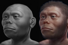 Mengenal Homo Floresiensis, Manusia Kerdil yang Hanya Ada di Indonesia