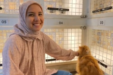 Tya Ariestya Punya Hotel Kucing dan Ada Kamar President Suite, Seperti Apa