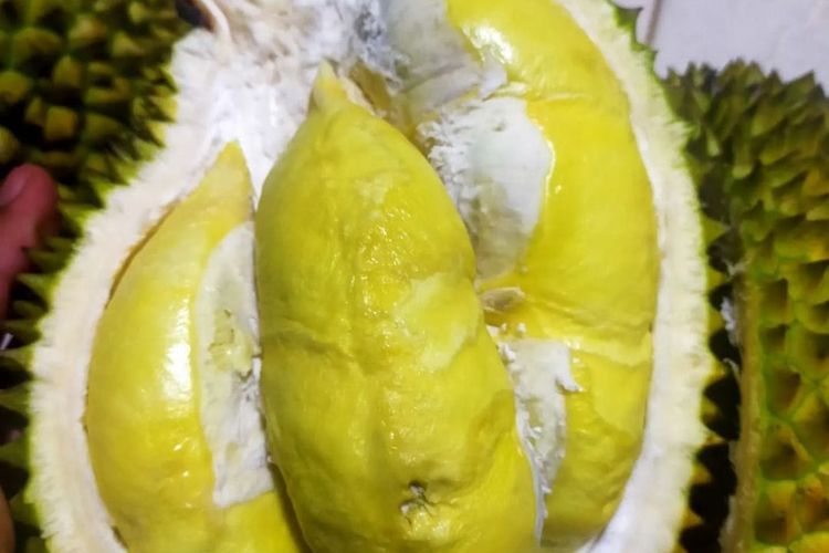 Ahmad Faisol (27), warga Kecamatan Kemranjen Kabupaten Banyumas, Jawa Tengah ini sukses budidaya bibit durian hingga jual beli buahnya. Ia menjalani bisnis durian bawor ini sejak setahun yang lalu, setelah menyelesaikan pendidikan di Pondok Pesantren An-Nawawi Berjan, Purworejo Jawa Tengah.
