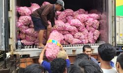 Konsisten, Kementan Jalankan Aturan Wajib Tanam Bagi Importir Bawang Putih