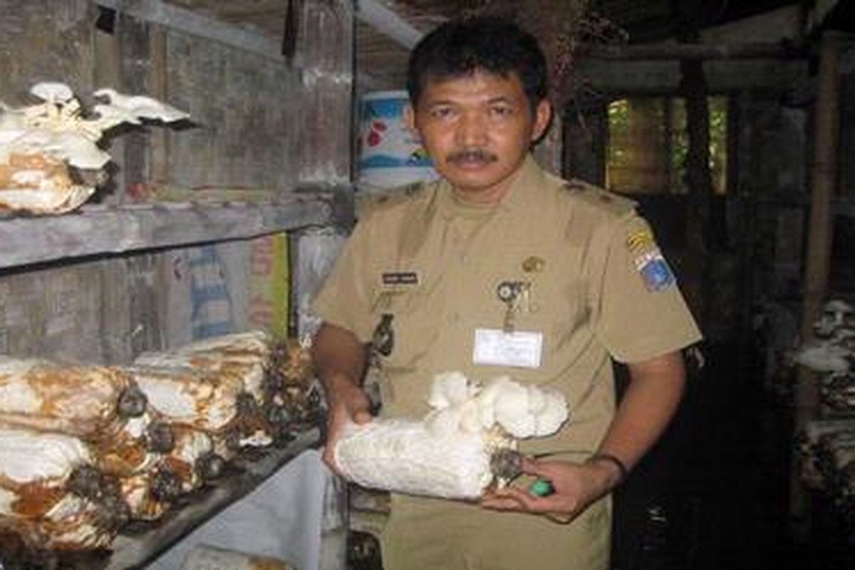 Menurut Wakil Lurah Kampung Gedong Chairil Anwar ada sekitar 12 kelompok warga yang meminati  budidaya jamur tiram (Pleurotus ostreatus). Harapannya adalah jamur tiram dari Kampung Gedong bisa dijual pula di supermarket-supermarket yang letaknya amat dekat dengan wilayah kelurahan tersebut. 
