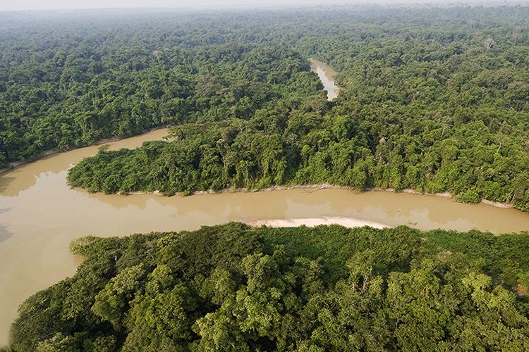 Juliane Koepcke bertahan 11 hari di hutan Amazon setelah pesawat yang ditumpanginya mengalami kecelakaan.