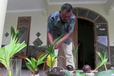 Cerita Zainuri, Sulit Cari Kerja hingga Punya Omzet Jutaan dari Bonsai Kelapa, Belajar dari YouTube