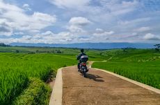 Lokasi Ubud-nya Wonogiri, Hamparan Sawah yang Indah Berlatar Pegunungan