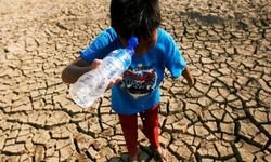 Mewaspadai Dampak El Nino 'Godzilla' terhadap Ketahanan Pangan Indonesia