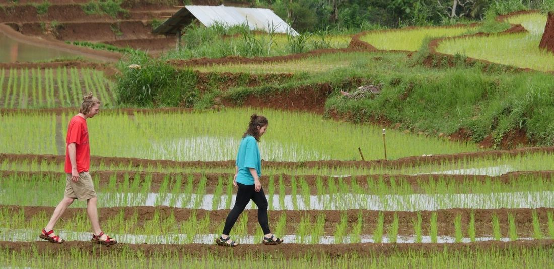 Desa Wisata Nglanggeran yang berada di Yogyakarta, masuk dalam Top 100 Destinasi Berkelanjutan Dunia bersama tiga desa wisata di Indonesia lainnya.