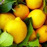 Manfaat Lemon, Si Buah Asam yang Bisa Mencegah Anemia
