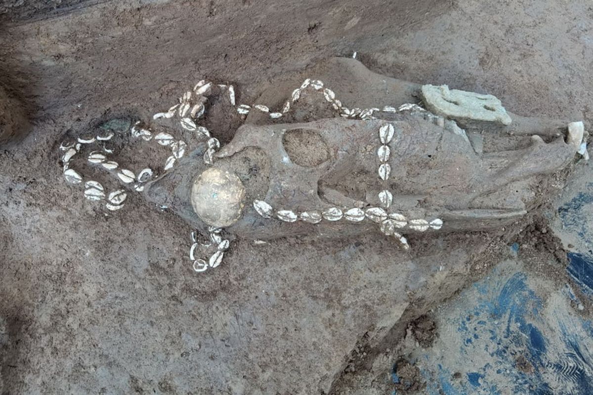 Para arkeolog menemukan sisa-sisa tubuh manusia yang menggunakan topi bertali kerang di situns Anyang, China