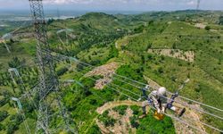 PLN Tembus Daftar Fortune Global 500 2025, Catat Pendapatan Rp 545 Triliun