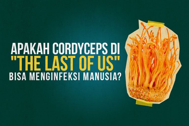 Apakah Cordyceps di The Last of Us Bisa Menginfeksi Manusia?