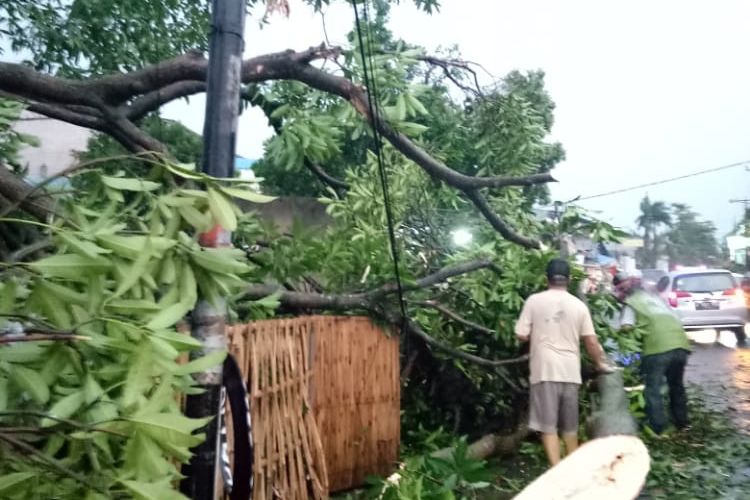 Pohon tumbang di sekitar kawasan Margonda, Depok, Jawa Barat, menyusun peristiwa angin puting beliung yang disertai dengan hujan deras yang melanda pada Selasa (21/9/2021) sore.