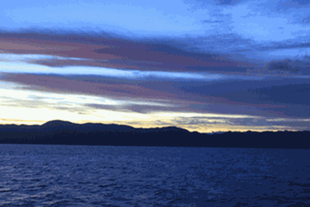 Teluk Cendrawasih menjadi surga bagi banyak tumbuhan dan hewan baik di darat apalagi di bawah airnya.