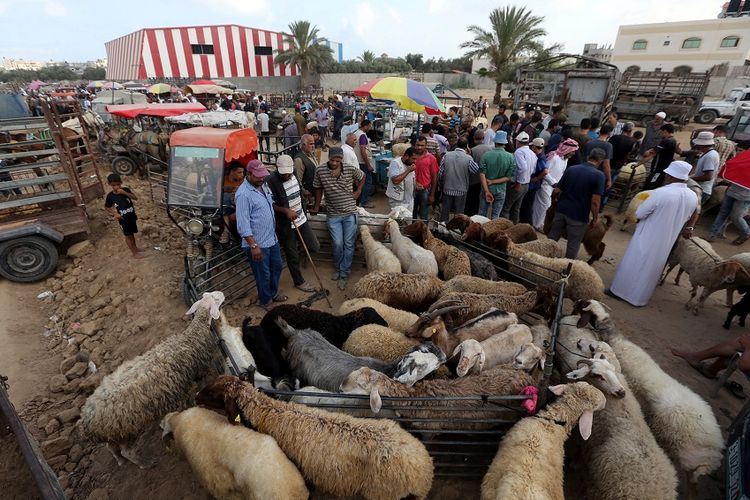 Warga Palestina memilih hewan di pasar hewan kurban di Jalur Gaza, pada Senin (5/8/2019), menjelang perayaan Hari Raya Idul Adha yang jatuh pada Minggu (11/8/2019).