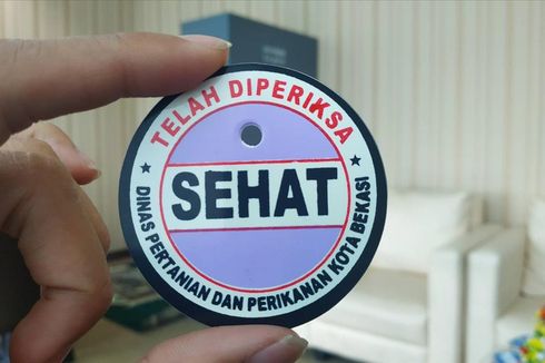 Pemkot Bekasi: Hewan Layak Kurban Dikalungi Pin