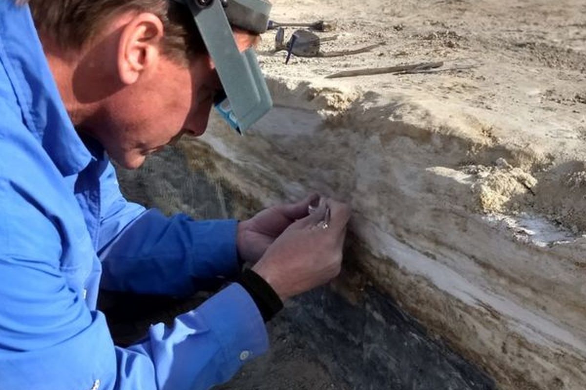 Peneliti menemukan usia biji-bijian di atas dan di bawah lapisan sedimen yang dekat dengan jejak kaki manusia prasejarah.