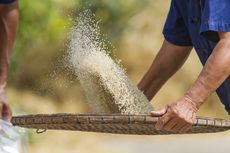 Produksi Beras di Madiun Meningkat, Triwulan Pertama Capai 41.815 Ton